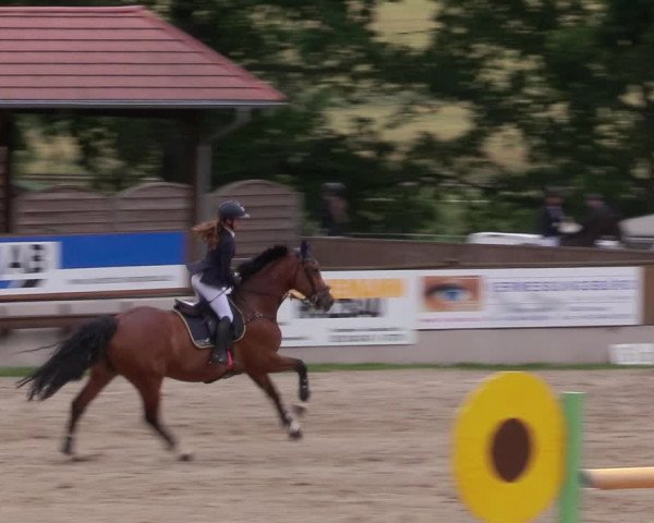 Reitturnier Lgl.-Oberhain, B95 2020