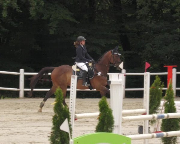 Reitturnier Losheim 2020