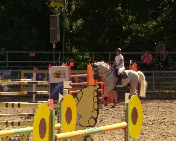 Reitturnier Lgl.-Oberhain, B95 2020