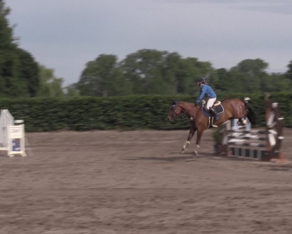 Reitturnier Lentzke - Reitanlage Krehl 2020