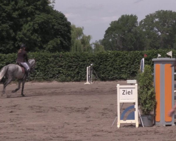 Reitturnier Lentzke - Reitanlage Krehl 2020