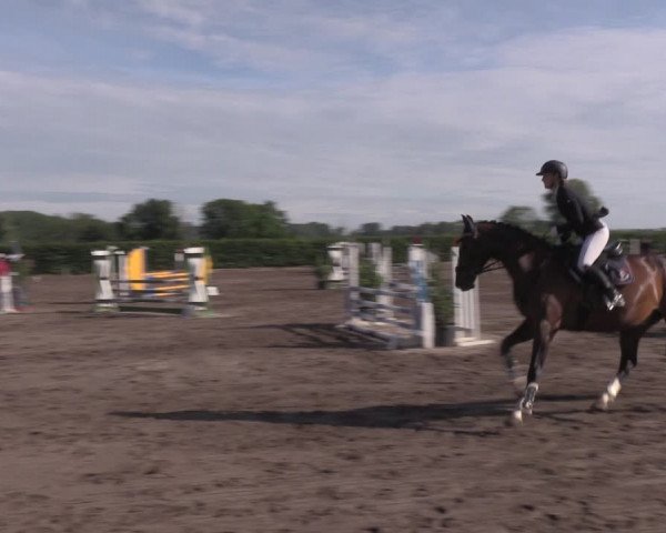 Reitturnier Lentzke - Reitanlage Krehl 2020