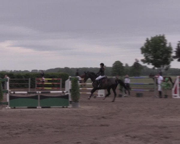 Reitturnier Lentzke - Reitanlage Krehl 2020