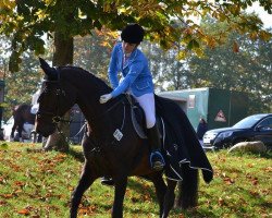 dressage horse Chocolate Kiss (Hessian Warmblood, 2004, from Calgary)