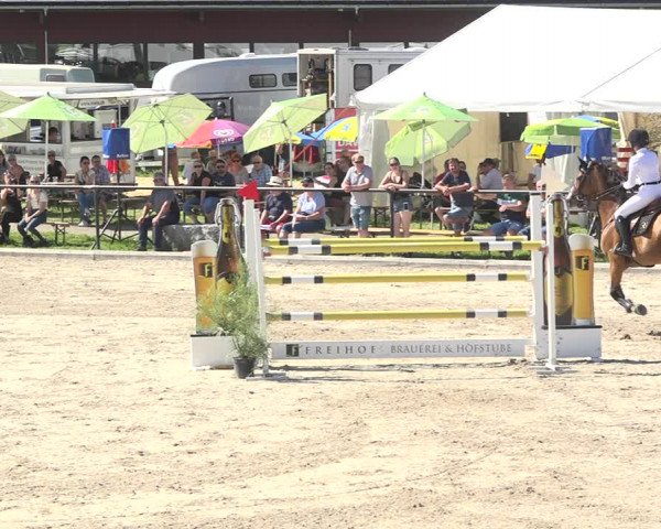 Reitturnier Gossau (Stall Sommersweid) 2020