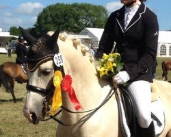 Deckhengst Magic Merlin (Deutsches Reitpony, 2007, von Eiluns Monopoly)