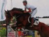 jumper Atino R (German Sport Horse, 2006, from Artego)