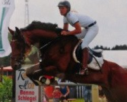 Springpferd Atino R (Deutsches Sportpferd, 2006, von Artego)