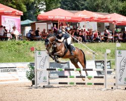 jumper Graf Genki (Hanoverian, 2011, from Graf Top)