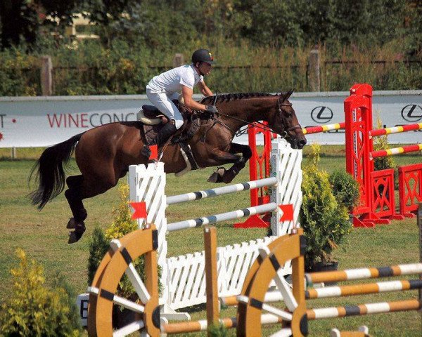 jumper Quel Prix (KWPN (Royal Dutch Sporthorse), 2005, from Quidam's Rubin)