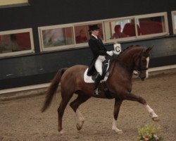 dressage horse Fürst Felix 7 (Westphalian, 2004, from Florestan I)