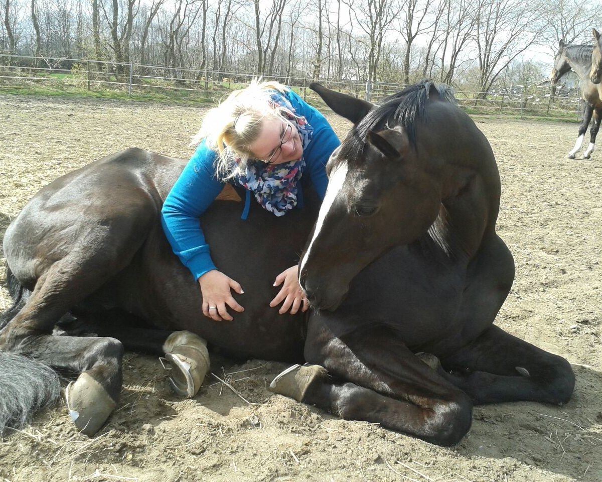 jumper La Dolce Vita 12 (German Sport Horse, 2005)