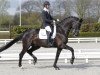 dressage horse Willem Alexander (KWPN (Royal Dutch Sporthorse), 2003, from Negro)