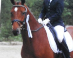 dressage horse Capriano SL (Hanoverian, 2008, from Caprimond)