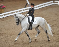 dressage horse Tin Tin (KWPN (Royal Dutch Sporthorse), 2000)