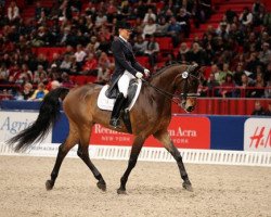 dressage horse Miata (Oldenburg, 1999, from Lancado)