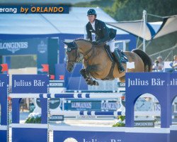 jumper Boomerang (KWPN (Royal Dutch Sporthorse), 2006, from Orlando van de Heffinck)