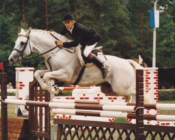 stallion Rubin S (Holsteiner, 1977, from Ronald)