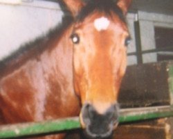 broodmare La Vie (Rhinelander, 1989, from Larome)