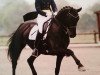 dressage horse Femme Jolie (Hanoverian, 2005, from Fürst Heinrich)