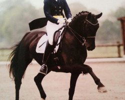 dressage horse Femme Jolie (Hanoverian, 2005, from Fürst Heinrich)