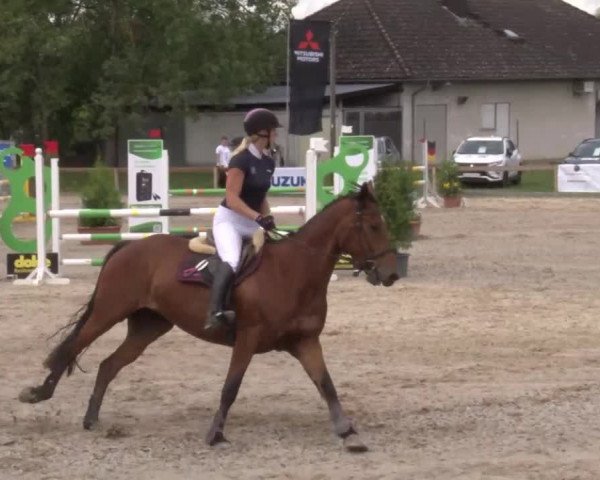 Reitturnier Kleinostheim/Ufr. 2020