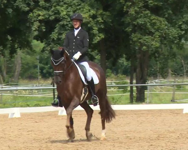 Reitturnier Babenhausen/Schw. 2020