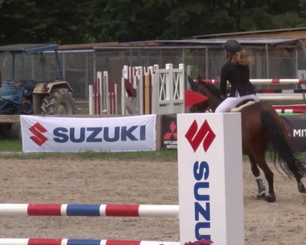 Reitturnier Kleinostheim/Ufr. 2020