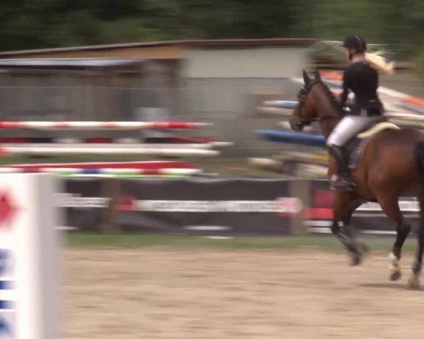 Reitturnier Kleinostheim/Ufr. 2020