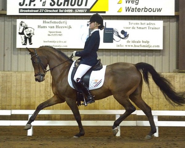 dressage horse Klavertje Character (Nederlands Rijpaarden en Pony, 2001, from Condor ox)