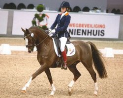 Dressurpferd Lemniscaat Rapsodie (Nederlands Welsh Ridepony, 2004, von Anjershof Rocky)