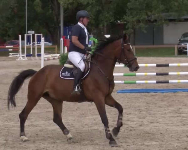 Reitturnier Kleinostheim/Ufr. 2020