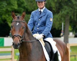 dressage horse Bob Dylan (Bavarian, 2010, from Boston)