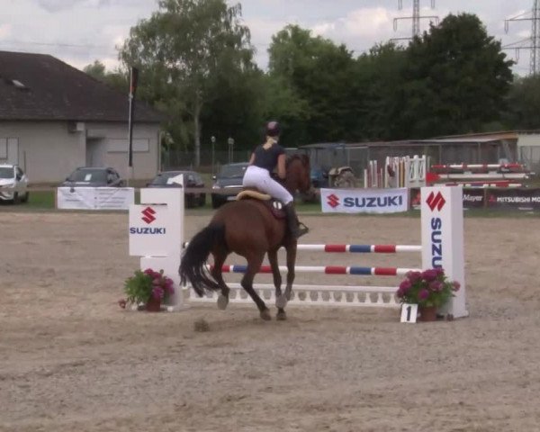 Reitturnier Kleinostheim/Ufr. 2020