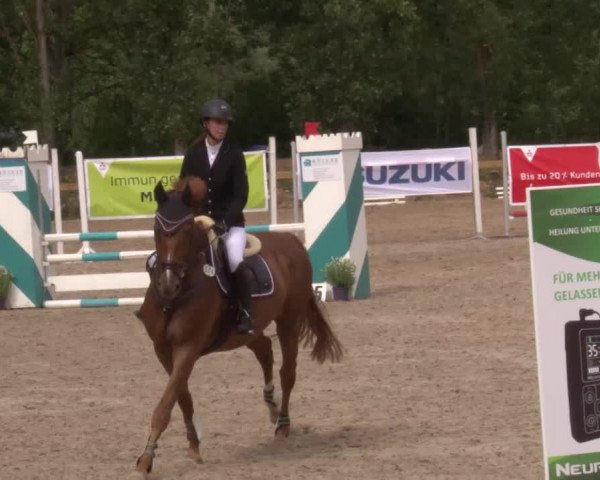 Reitturnier Kleinostheim/Ufr. 2020