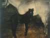 horse Monoline (Holsteiner, 1975, from Roman)