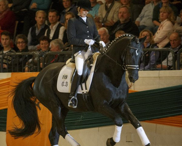 dressage horse Goldmond (Trakehner, 1992, from Caprimond)