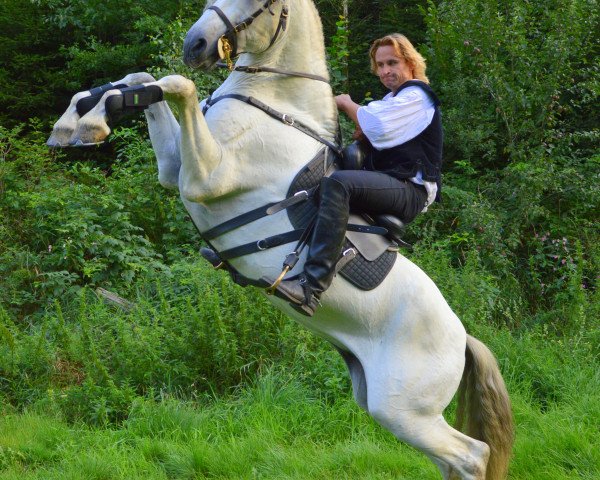 stallion Lerno S.T. (Pura Raza Espanola (PRE),  , from Devoto III)