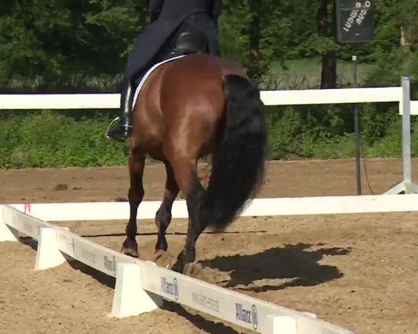 Reitturnier Babenhausen/Schw. 2020