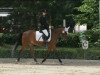 dressage horse Blue Kena (German Riding Pony, 1996, from Blue Star)