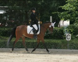 dressage horse Blue Kena (German Riding Pony, 1996, from Blue Star)