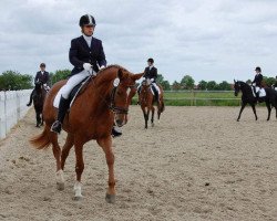 broodmare Lewina (German Sport Horse, 2004, from Lewinski)