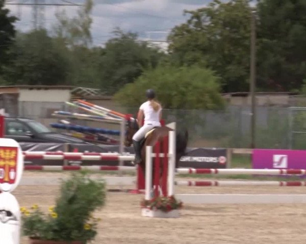 Reitturnier Kleinostheim/Ufr. 2020