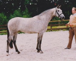 broodmare Cabinetta (Holsteiner, 1988, from Calypso I)