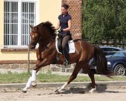 dressage horse John Lennon (Oldenburg, 2007, from Jazz Rubin)