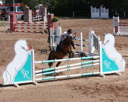 Zuchtstute Eichof's Sissi de Bour (Deutsches Reitpony, 2002, von Night-Cup)