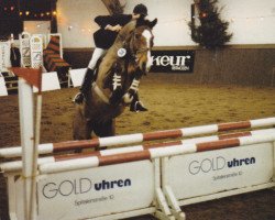 horse Cheers (Holsteiner, 1982, from Cor de la Bryère)