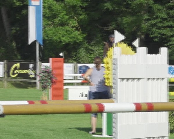 Reitturnier Kappelen-Lyss 2020