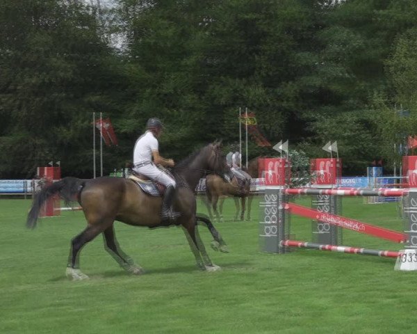 Reitturnier Kappelen-Lyss 2020