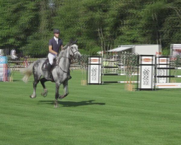 Reitturnier Kappelen-Lyss 2020
